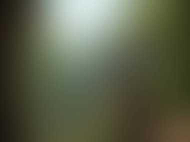 Bulanık arkaplan. Renkli gradyan odaklanmış arkaplan. Proje, pankart, duvar kağıdı için basit moda tasarım ögesi