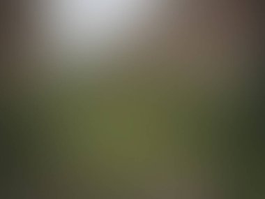 Bulanık arkaplan dokusu temasıName