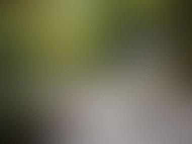 Bulanık arkaplan dokusu soyut doku modu