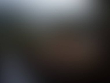 Açık kahverengi rengin bulanık arkaplanı