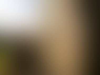 modern gradyan bulanık arkaplan