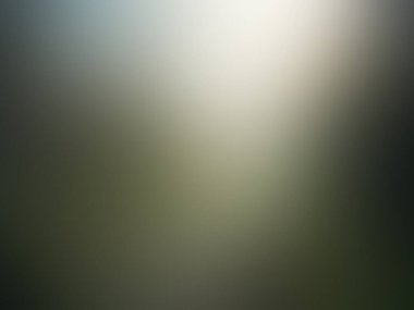 Aydınlatma gradyan hareketi arkaplanı bulanıklaştırdı. Renkli çizgi desenli duvar kağıdı