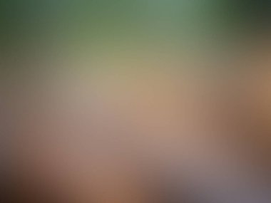 soyut pastel yumuşak renkli bulanık desenli arka plan altın tonlu, sarı renkli.