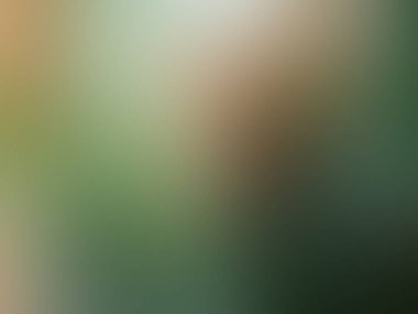 Bulanık arkaplan dokusu eğilimi