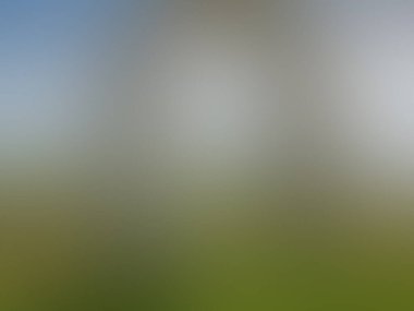 Bulanık arkaplan, yeşil çimen, gri eğim, yumuşak ışık