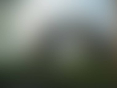 Işık bulanık arkaplan vektör çizimi