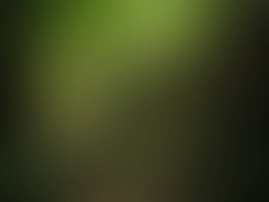 yeşil gradyan soyut arkaplan, duvar kağıdı veya poster için boş pürüzsüz arkaplan