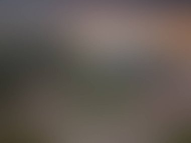 Bulanık ışık arkaplanı renkli