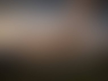 Açık kahverengi renklerin bulanık arkaplanı