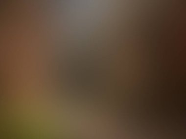 Bulanık ışık izleri renkli arkaplan