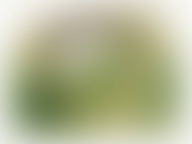 Aydınlatma gradyan hareketi arkaplanı bulanıklaştırdı. Renkli çizgiler desen duvar kağıdı