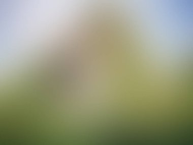 soyut pastel yumuşak renkli yumuşak bulanık dokulu arka plan odak tonlu. duvar kağıdı ya da web tasarımı olarak kullan