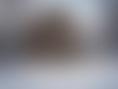 Soyut degrade hareket ışık arka plan bulanık. Renkli çizgi