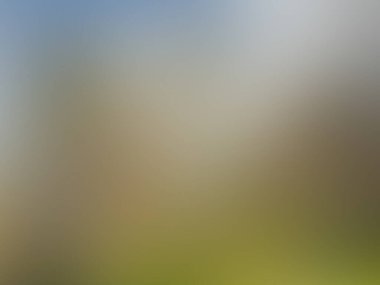 soyut arkaplan, doku sanatı rengi