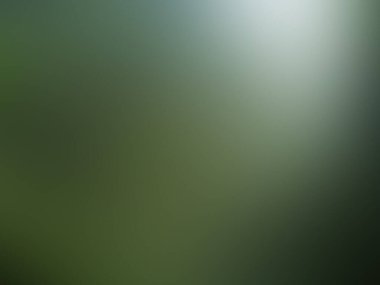 Bulanık arkaplan yeşil, koyu kahverengi arkaplan