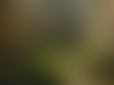 Arkaplan için bulanık renkli doku.