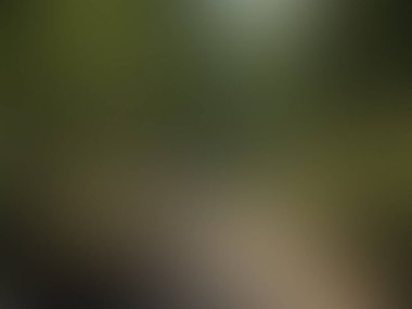 Bulanık arkaplan dokusu temasıName