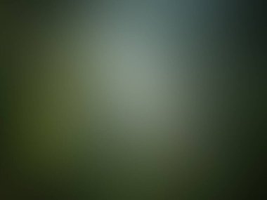 Bulanık arkaplan dokusu.