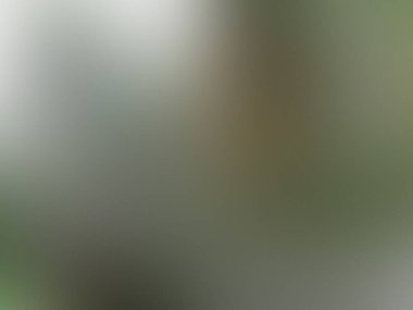 Açık yeşil, gri vektör soyut bulanık desen. Soyut renkli gradyan çizimi. Web tasarımınız için akıllı duvar kağıdı.