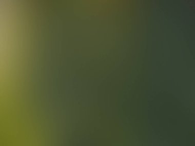 bulanık arkaplanı olan soyut ışık gradyanı.