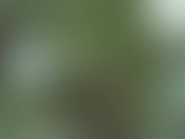 Renkli, afiş, davet, broşür için soyut bulanık arkaplan