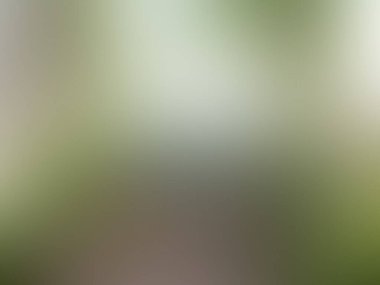 soyut pastel yumuşak renkli yumuşak bulanık dokulu arka plan odak tonlu. Web tasarımı için duvar kağıdı olarak kullan