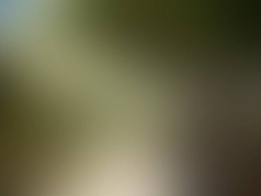 Renkli bulanık arkaplan / soyut arkaplan