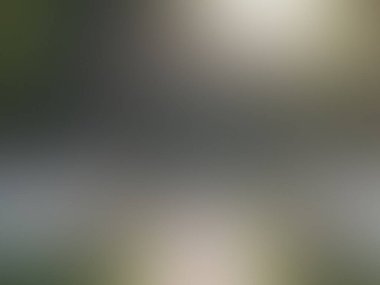 Soyut degrade hareket ışık arka plan bulanık. Renkli çizgi