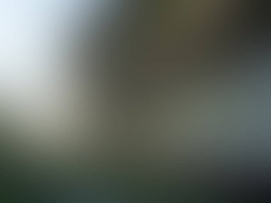 Soyut degrade hareket ışık arka plan bulanık. Renkli çizgi