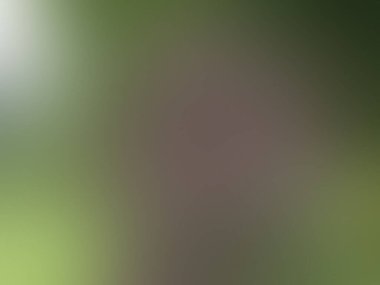 Bulanık arkaplan dokusu temasıName