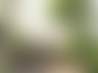 Soyut bulanık arkaplan renkleri karışık