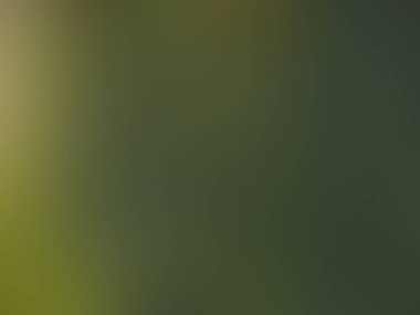 ışık soyut gradyan hareketi bulanık arkaplan