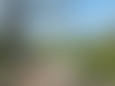 Bulanık ışık arkaplanı renkli