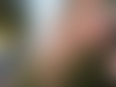 Bulanık arkaplan dokusu temasıName