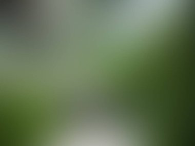 yeşil bulanık gradyan / / / renkli arkaplan. soyut