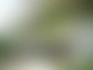 yeşil renk gradyanı soyut arkaplan