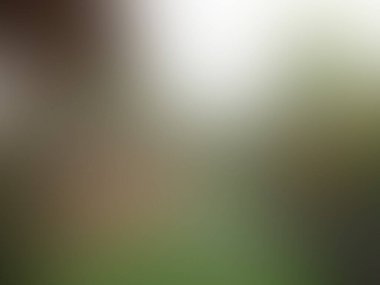 modern çok renkli arkaplan