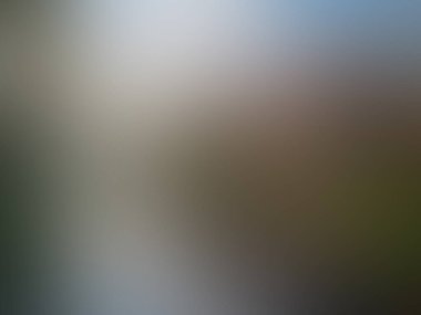 ışık soyut gradyan hareketi bulanık arkaplan