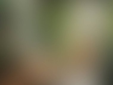 Bulanık gradyan ağ arkaplan dokusu