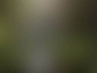 açık arkaplan gradyanı, yeşil, siyah, web için gri arkaplan, mobil uygulama