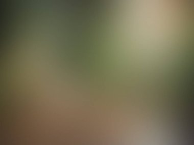 Arka plan doku tasarım bulanık