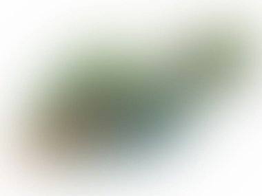 Ağ ile bulanık arkaplan