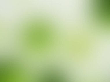 Açık yeşil gradyan bulanık arkaplan. yeşil soyut arkaplan.