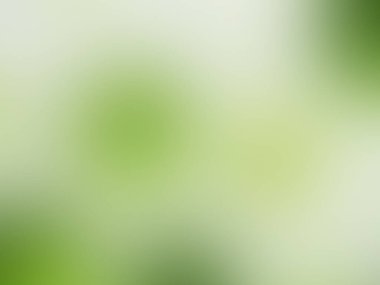 Soyut Yeşil ve Beyaz Arkaplan