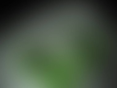 Yeşil bulanık arka plan