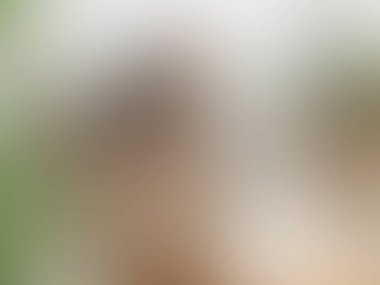 Açık gri renkli vektör soyut arkaplan. gradyan ile modern soyut çizim. İşiniz için akıllı tasarım.