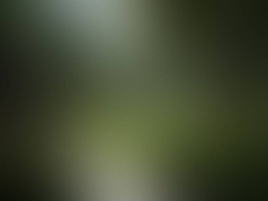 yeşil soyut doku arkaplanı, gradyan duvar kağıdının desen arkaplanı