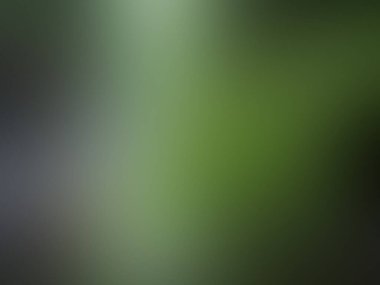 arkaplan için soyut yeşil gradyan arkaplanı