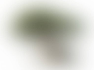 Eski renk grunge vintage eskimiş arka plan soyut antika desenli retro desenli