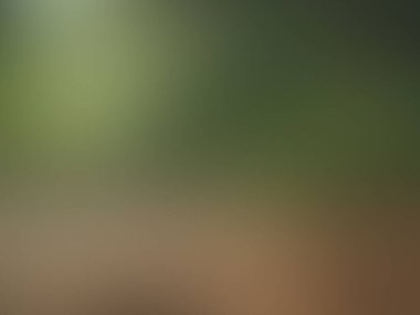 Bulanık eğimli arkaplan. Renkli yumuşak pankart şablonu. Bilgisayar ekranı duvar kağıdı. Basit Gradyan